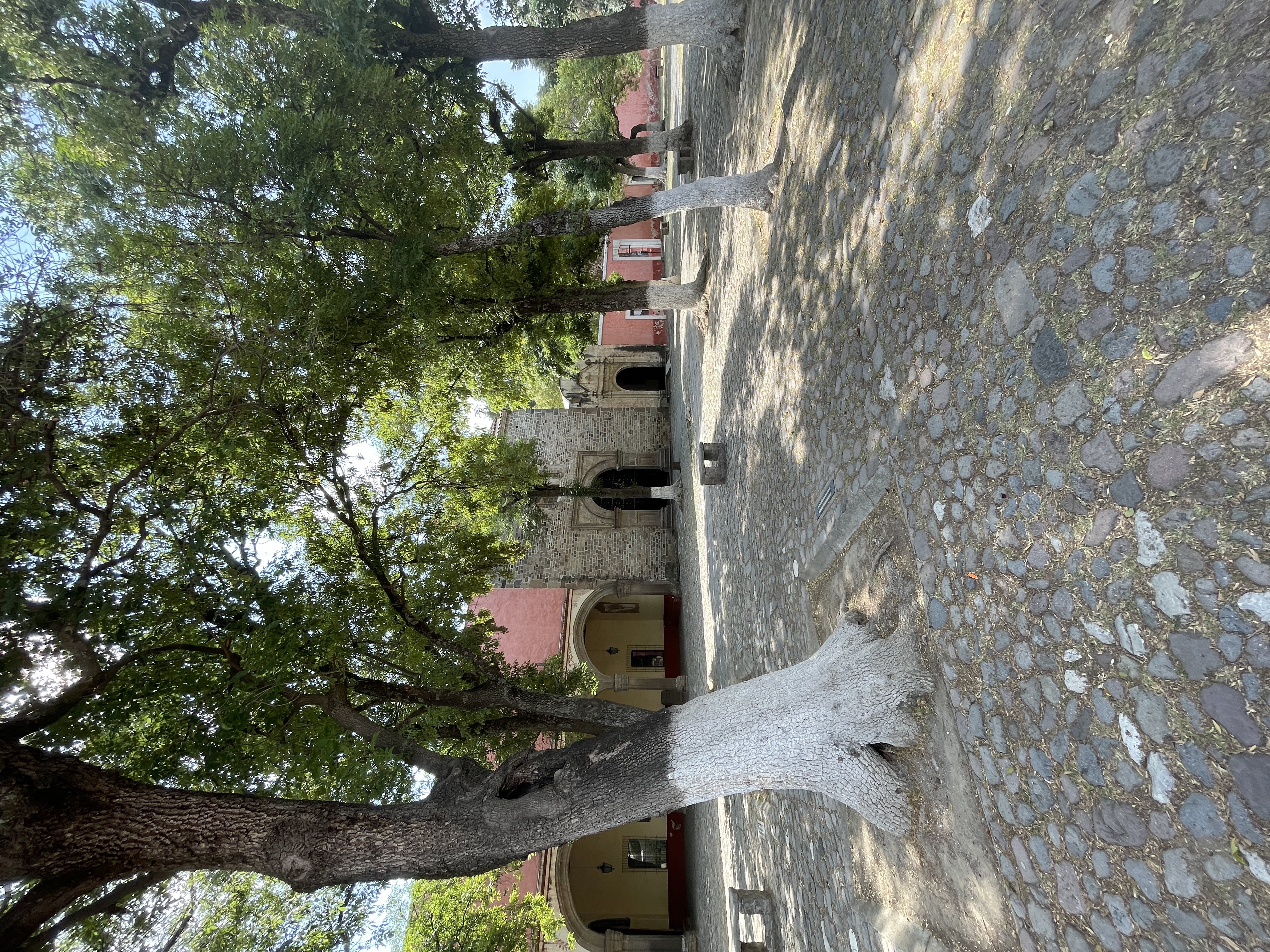 Ex-convent of San Francisco